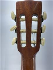 Giannini Classical Nylon Guitar AWN25A
